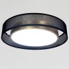 Золотиста стельова LED люстра 40 см (2003/400)