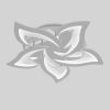 Світлодіодна люстра Led до 18 м² лотос срібло 80 Вт. з пультом (1181/5Hr)