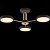 Cвітлодіодна чорна Led-люстра на 3 плафони, 54W до 10 м² Sirius B X13242/3 BK+FGD
