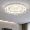 Світлодіодна люстра Led до 20м² круглої форми 58 см 80 Wt POLUMIA R