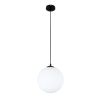 Підвісний світильник 756glass250F-1 BK+WH